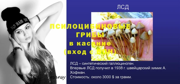 спиды Верея