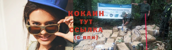 спиды Верея
