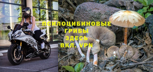 таблы Верхний Тагил