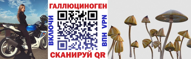 ссылка на мегу ССЫЛКА  Обоянь  Псилоцибиновые грибы мицелий 